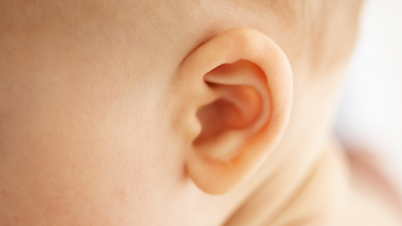 Cuál es el estudio de oídos que se le realiza al recién nacido